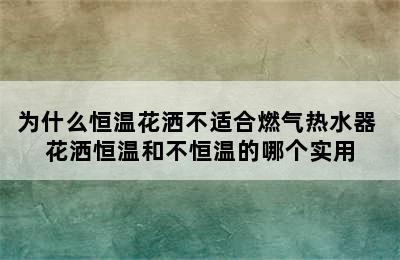 为什么恒温花洒不适合燃气热水器 花洒恒温和不恒温的哪个实用